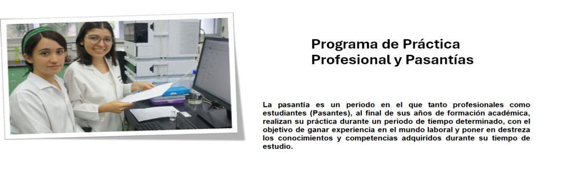 pasantía